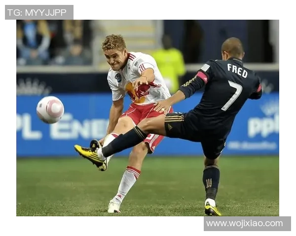 圣荷塞地震与蒙特利尔冲击的对比分析及其影响探讨